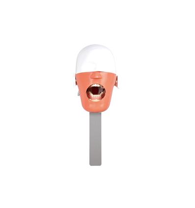 modelo-estudio-jg-c3-con-barra-a-cabezal-equipo